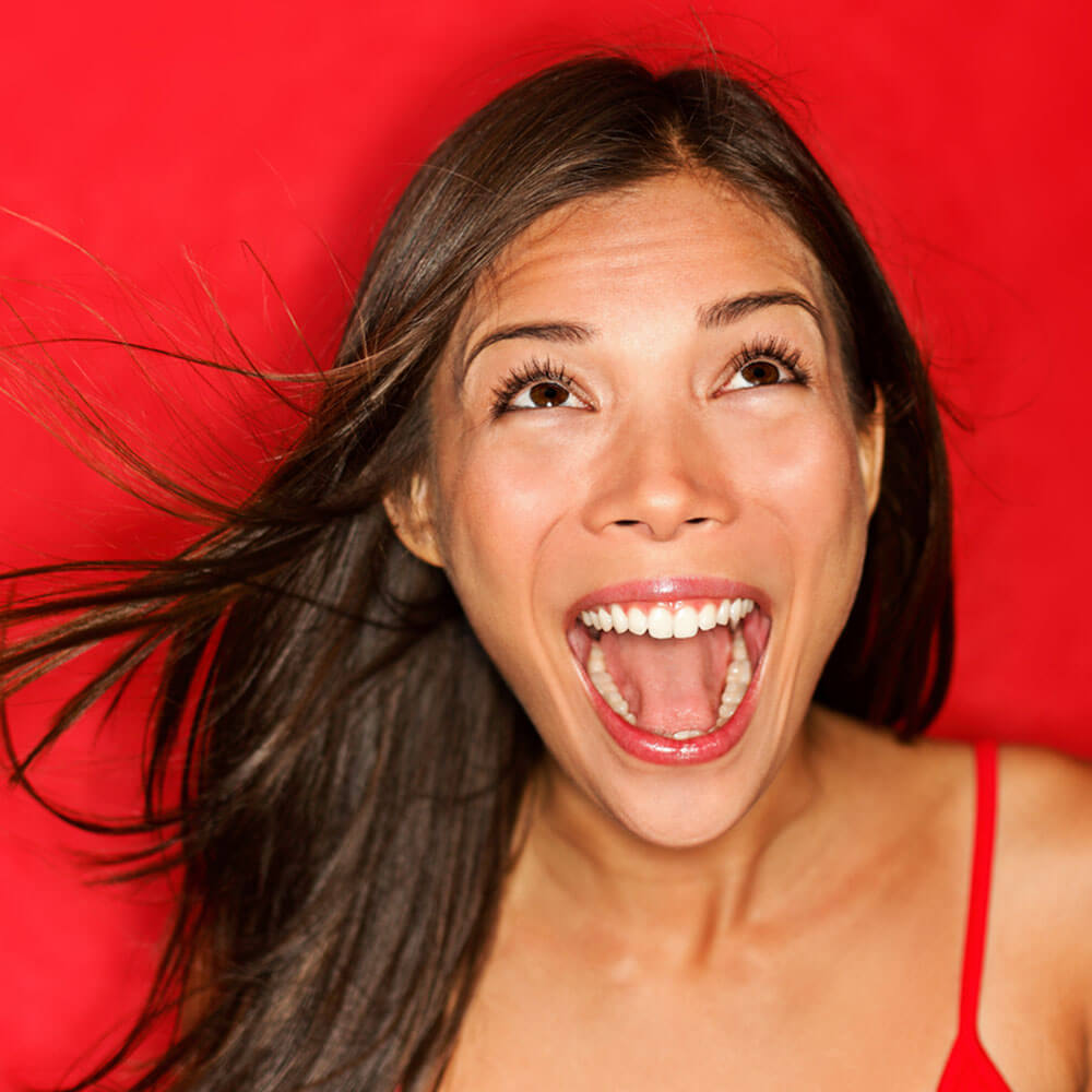 ecstatic-wordpress-care-plan